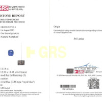 11.14 Ct. Blue Sapphire from Ceylon (Sri Lanka) Scan Report