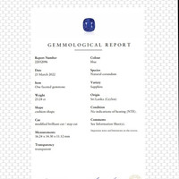 23.24 Ct. Blue Sapphire from Ceylon (Sri Lanka) Scan Report