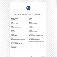 23.24 Ct. Blue Sapphire from Ceylon (Sri Lanka) Scan Report