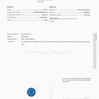 Jewelry Scan Report
