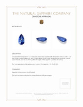 1.13 Ct. Blue Sapphire from Ceylon (Sri Lanka) Appraisal