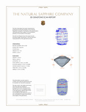 Jewelry 3 D Scan Report