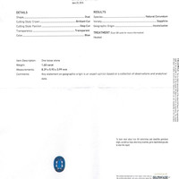 Jewelry Scan Report