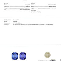 Jewelry Scan Report