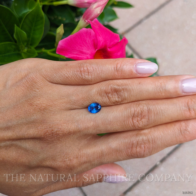 1.26 Ct. Blue Sapphire from Ceylon (Sri Lanka)