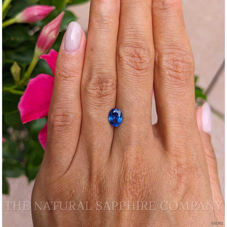 1.26 Ct. Blue Sapphire from Ceylon (Sri Lanka)