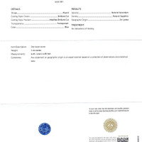 Jewelry Scan Report