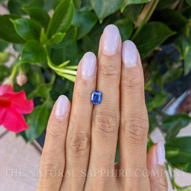 1.55 Ct. Blue Sapphire from Ceylon (Sri Lanka)