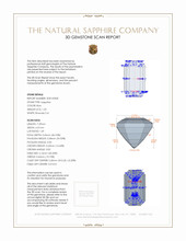 Jewelry 3 D Scan Report