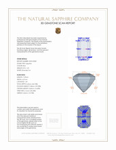Jewelry 3 D Scan Report