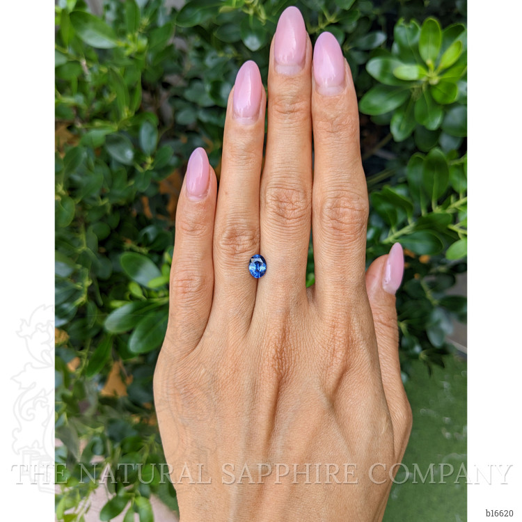 1.33 Ct. Blue Sapphire from Ceylon (Sri Lanka)