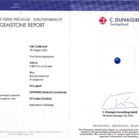 Jewelry Scan Report