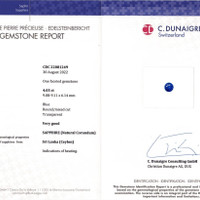 Jewelry Scan Report