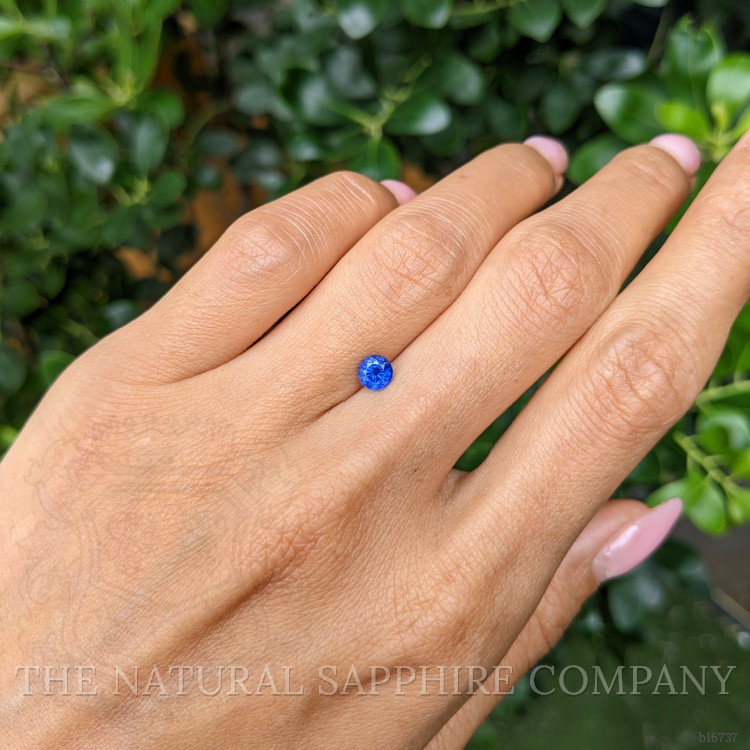 0.66 Ct. Blue Sapphire from Ceylon (Sri Lanka)