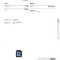 Jewelry Scan Report
