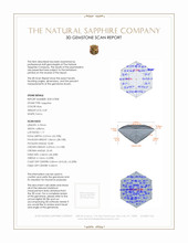 Jewelry 3 D Scan Report