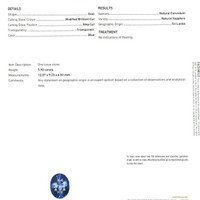 5.90 Ct. Blue Sapphire from Ceylon (Sri Lanka) Scan Report