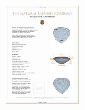 Jewelry 3 D Scan Report