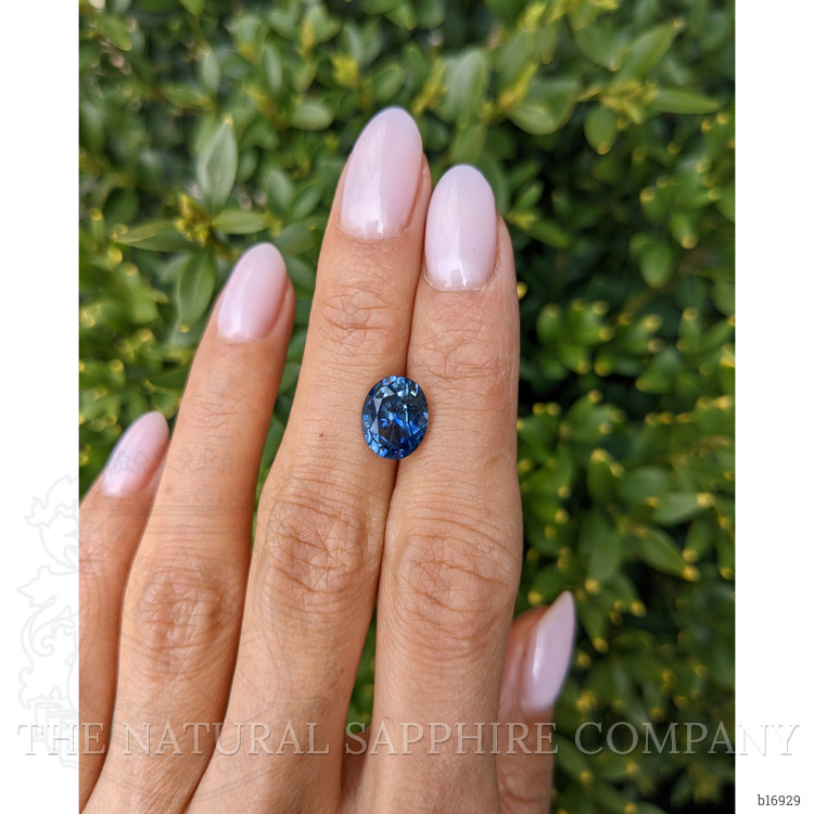 4.14 Ct. Bi Color Sapphire from Cambodia