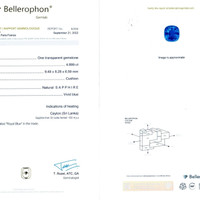 4.90 Ct. Blue Sapphire from Ceylon (Sri Lanka) Scan Report