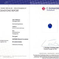 Jewelry Scan Report