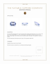 0.97 Ct. Blue Sapphire from Ceylon (Sri Lanka) Appraisal