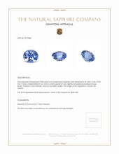 Jewelry Appraisal