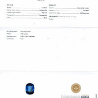 Jewelry Scan Report
