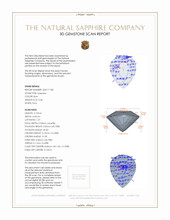 Jewelry 3 D Scan Report