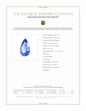 Jewelry Scan Report