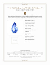 Jewelry Scan Report