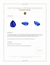 Jewelry Appraisal