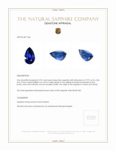 2.95 Ct. Blue Sapphire from Ceylon (Sri Lanka) Appraisal