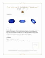 1.19 Ct. Sapphire from Ceylon (Sri Lanka) Appraisal