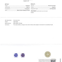 Jewelry Scan Report