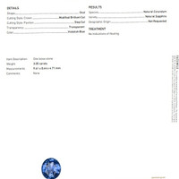 3.05 Ct. Blue Sapphire from Ceylon (Sri Lanka) Scan Report