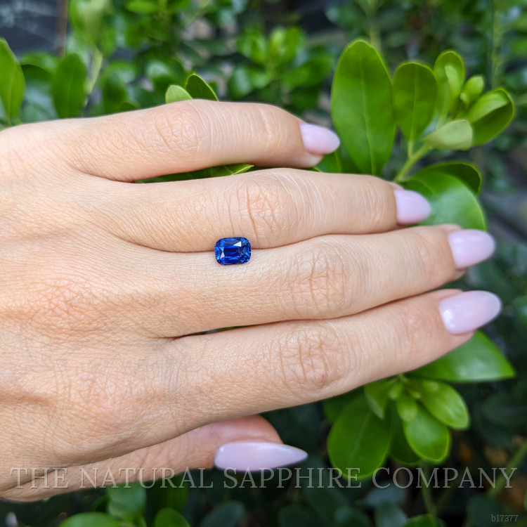 1.26 Ct. Blue Sapphire from Ceylon (Sri Lanka)
