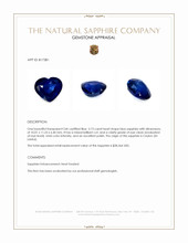 Jewelry Appraisal