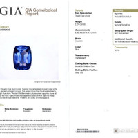 Jewelry Scan Report