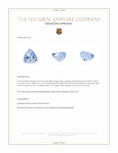 0.73 Ct. Blue Sapphire from Ceylon (Sri Lanka) Appraisal