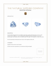 0.73 Ct. Blue Sapphire from Ceylon (Sri Lanka) Appraisal