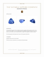 0.90 Ct. Blue Sapphire from Ceylon (Sri Lanka) Appraisal