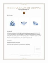 0.48 Ct. Sapphire from Ceylon (Sri Lanka) Appraisal