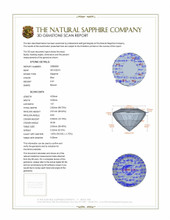 0.37 Ct. Blue Sapphire and Natural Diamond Pave Ring, 14K White Gold 3 D Scan Report