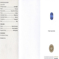 Jewelry Scan Report