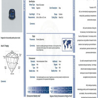 Jewelry Scan Report