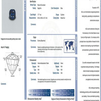 Jewelry Scan Report