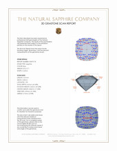 Jewelry 3 D Scan Report