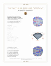 Jewelry 3 D Scan Report