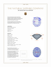 Jewelry 3 D Scan Report